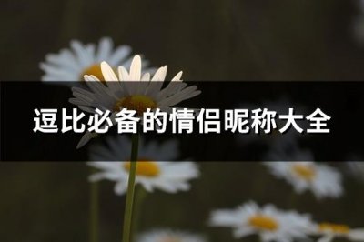 ​逗比必备的情侣昵称大全(共208个)