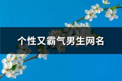 ​个性又霸气男生网名(360个)