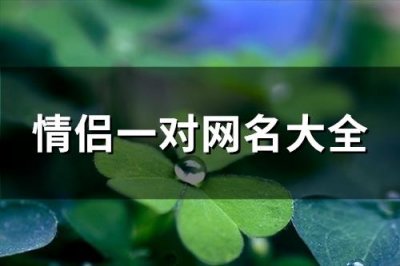 ​情侣一对网名大全(精选159个)