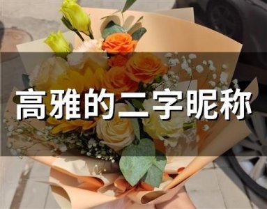 ​高雅的二字昵称(精选154个)