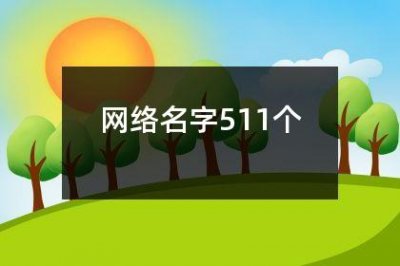 ​网络名字511个