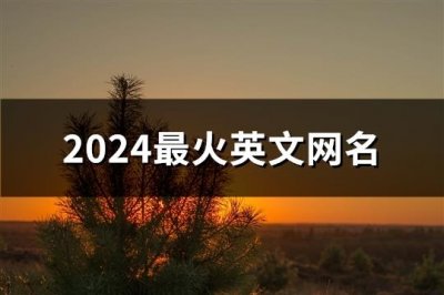 ​2024最火英文网名(69个)