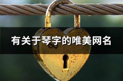 ​有关于琴字的唯美网名(精选73个)