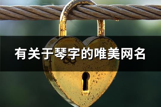 有关于琴字的唯美网名(精选73个)