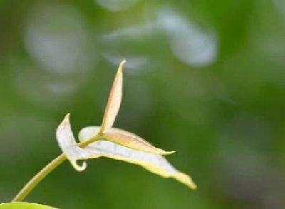 冷酷无情的冰冷昵称,痛到心碎的微信伤感网名