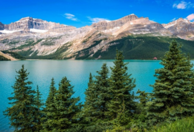 跟咸鱼有关的网名79个