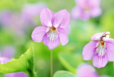 简单顺口的网名92个