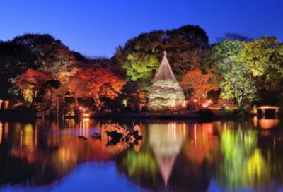 独一无二的花店名字四个字(89个)