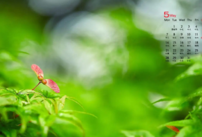 好听的抖音唯美名字(优选61个)