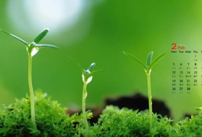 给思念取一个好名字(共71个)