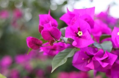 qq失恋忘不掉的网名(213个)