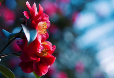 带恩希的网名大全