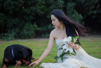 男生拼搏奋斗的网名(共148个)